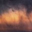 Gentle Rain - Single