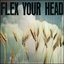 Flex Your Head