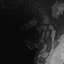 Corrosion / Purge - Single