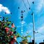 日々燦々
