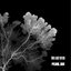 The Last of Us - EP