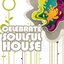 Celebrate Soulful House (Best of Loungy Chillhouse Tunes from Vocal to Deep Music)