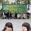 わかってよねえ先生