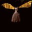 Insects With Angel Wings