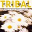 Tribal: Best of House Music, Volume 6