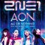 2014 2NE1 WORLD TOUR 〜ALL OR NOTHING〜 in JAPAN