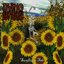 Sunflower Tide