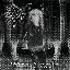 Following the Splendorous Voice of the Black Corvus