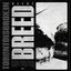 Breed (feat. REEBZ) - Single