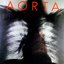 Aorta