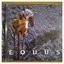 Equus