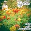 Slowly, and Yet So Surely After All [Explicit]