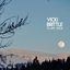 Silver Moon