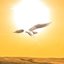Burning Sun (Ra's Revenge)