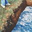 Here Lies