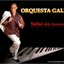 Salsa Sin Fronteras