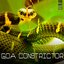 Goa Constrictor Vol. 02 (Captivating Psychedelic Trance and Goa Anthems)
