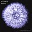 Newborn (A Depeche Mode cover album)