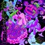 DESKPOP: PULSE of POISON