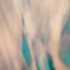 Fragment