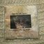 sorrel/oh, birds! - exchanges with the soil split