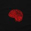 cognitive dissonance