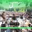 2019-07-27 The Peach Music Festival, Scranton, PA