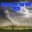 Angesagte Top Hits 2025