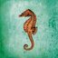 Seahorse