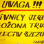 szczur89 için avatar