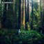 Second Nature