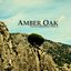 Amber Oak/Your missing piece