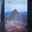 Andino