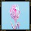 Snow Flower