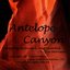 Antelope Canyon - Single