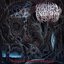 Realms Of Incessant Bloodshed