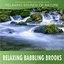 Relaxing Babbling Brooks (Sounds of Nature)