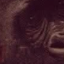 Avatar for SORRY4DAWAIT
