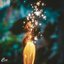 Enlight - Single
