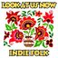Look at Us Now Indie Folk