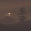 Moonlit Reverie