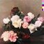 Power, Corruption  Lies