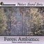 Forest Ambience (Nature sounds only version)