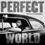 Perfect World