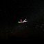 Falling Faster - Single