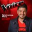 Falling Slowly (The Voice 2013 Performance) - Single
