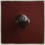 Devour [Explicit]