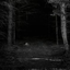 Avatar for SilvaObscura