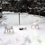 Before We Melt