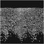The Pangs of Ulster - Single